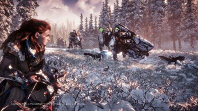 image 22 - Horizon Zero Dawn Store